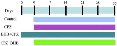 Effect of β-hydroxybutyrate on behavioral alterations, molecular and morphological changes in CNS of multiple sclerosis mouse model